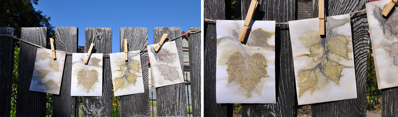 przykłady odbitek roślina na papierze