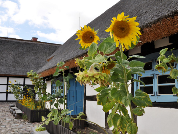 Nabór na stanowisko plastyka / instruktorki – instruktora zajęć artystycznych w Zagrodzie Jamneńskiej
