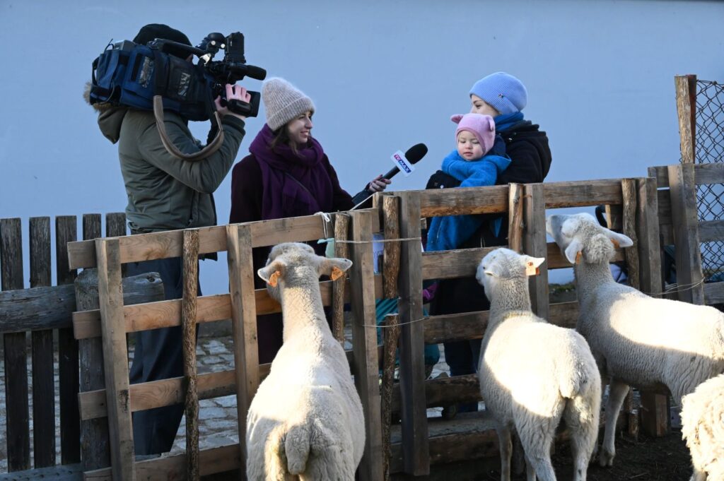 Ekipa telewizyjna przeprowadza wywiad z kobietą trzymającą dziecko na rękach, stojącą przy zagrodzie z owcami (kliknięcie powiększy zdjęcie).